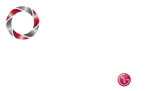 Lg Partner Logo